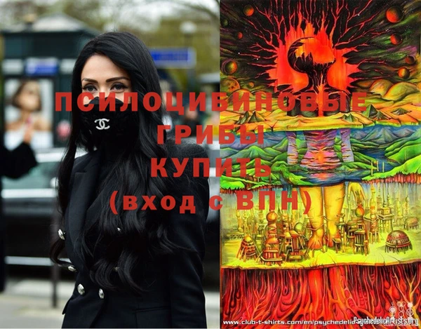 герыч Новодвинск