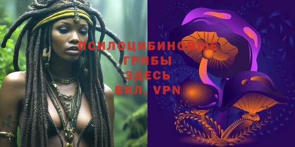 герыч Новодвинск